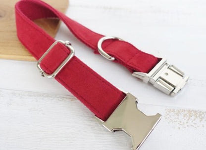Pet Traction Collar dog collar by My Store, adjustable design for secure control during walks