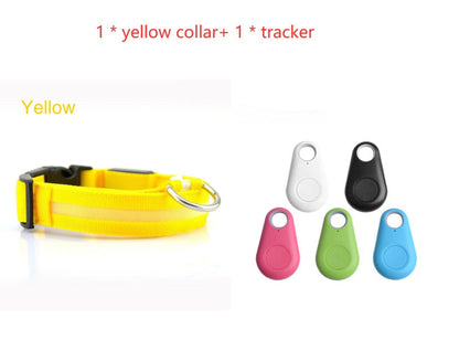 Safety Dog LED Collar, brightly illuminated for nighttime visibility in a close-up product image