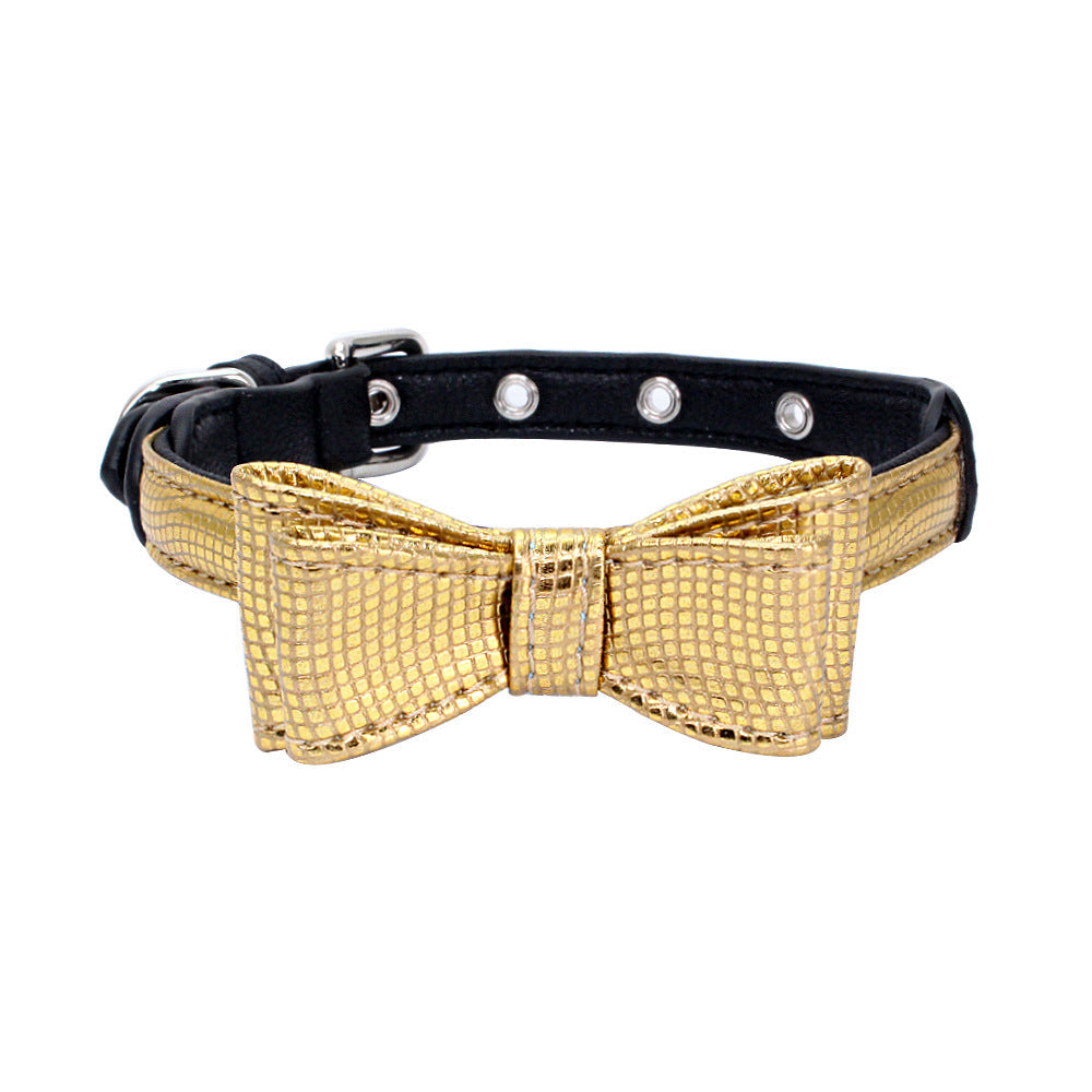 My Store pet collar, adjustable design shown against a clean background