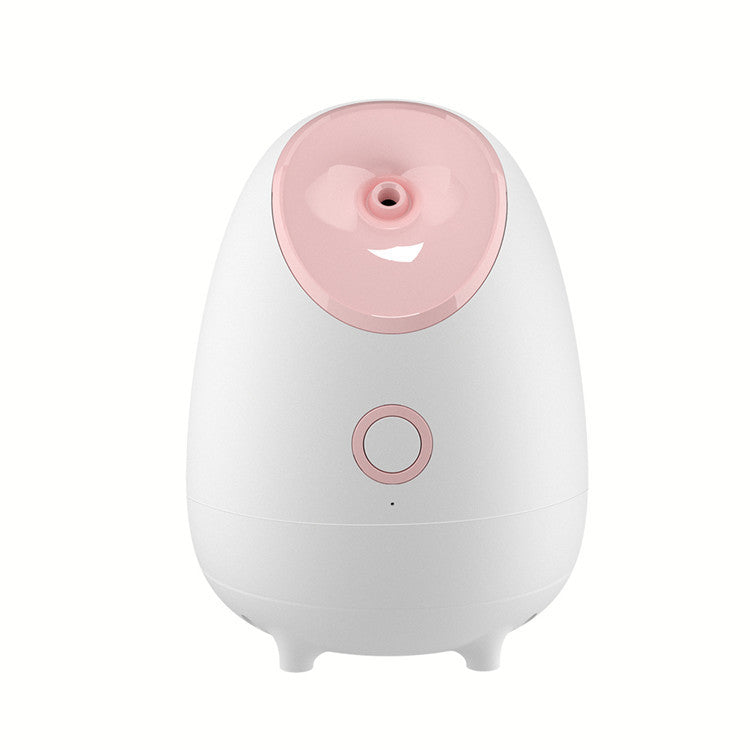 Fruit and vegetable spray moisturizing facial steamer device, household skincare tool close-up