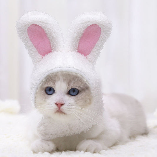 Warm rabbit ears pet hat in soft fabric, featuring cute upright ears for dogs and cats