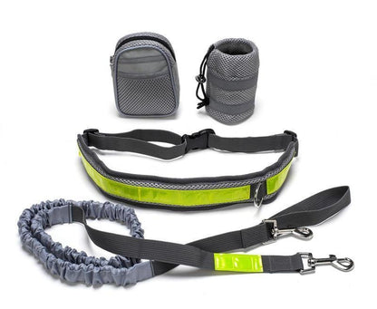 Adjustable hands-free dog leash with waist-worn design and secure clips