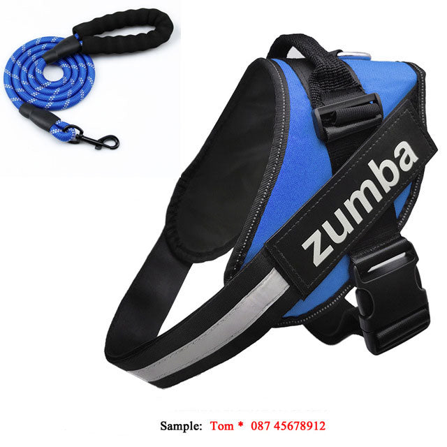 Personalized reflective breathable adjustable dog harness and leash set in Type 7 design, shown together