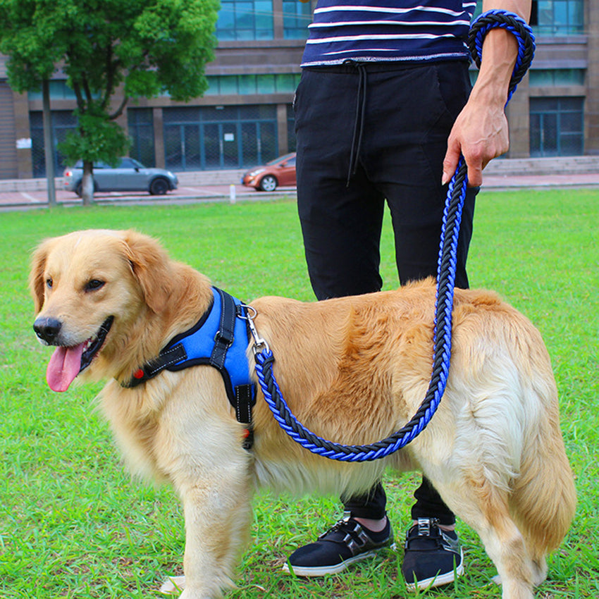 Dog leash chest strap with adjustable harness design for dogs