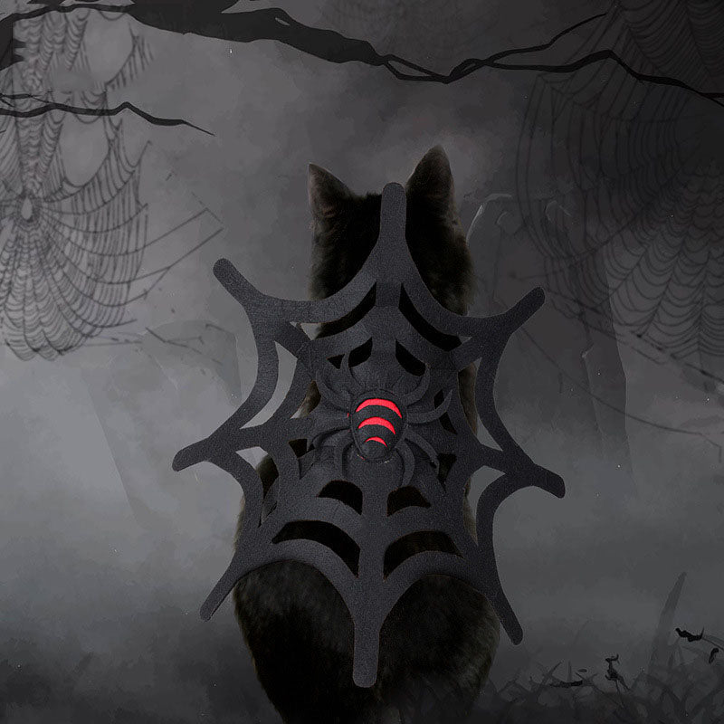 Halloween cat and dog spider web makeover costume setup