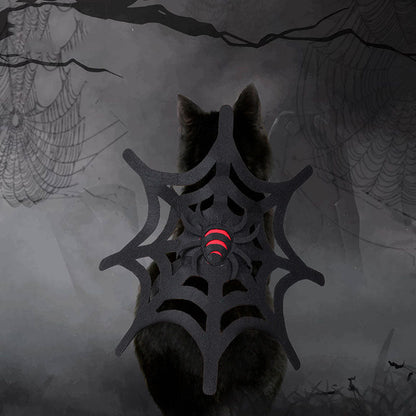 Halloween cat and dog spider web makeover costume setup