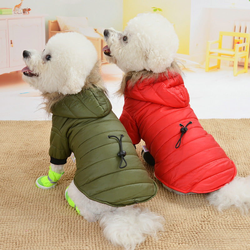 Pet light and warm cotton clothing by My Store for comfortable everyday wear