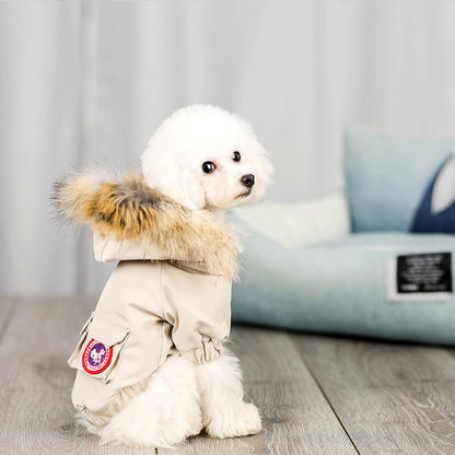 Small pet dog wearing a wool hat and cotton clothes outfit