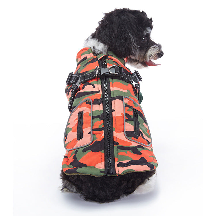 Winter cashmere pet jacket in soft gray with cozy lining and button closure