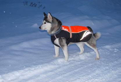 Winter warm fashionable pellet down jacket for dogs by My Store