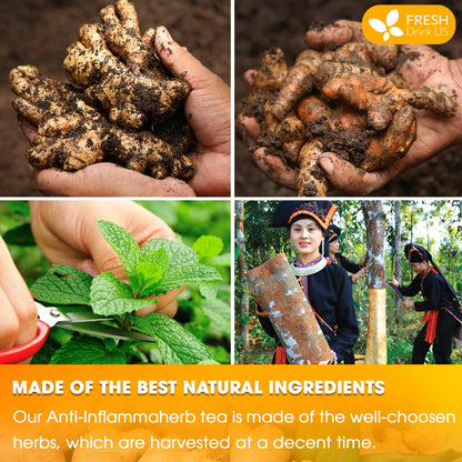 Anti-Inflammaheb Loose Leaf Tea