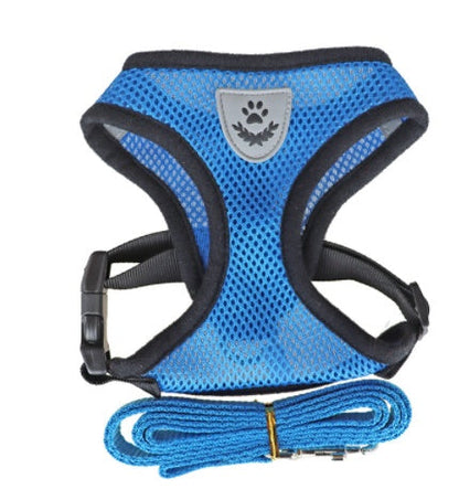 Fashionable high-end multi-color dog harness by My Store