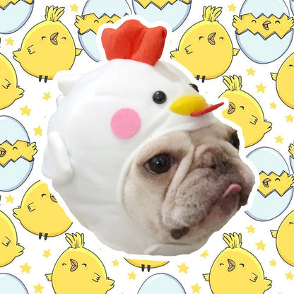 Cute dog hat pet styling accessory from Pet Supplies collection
