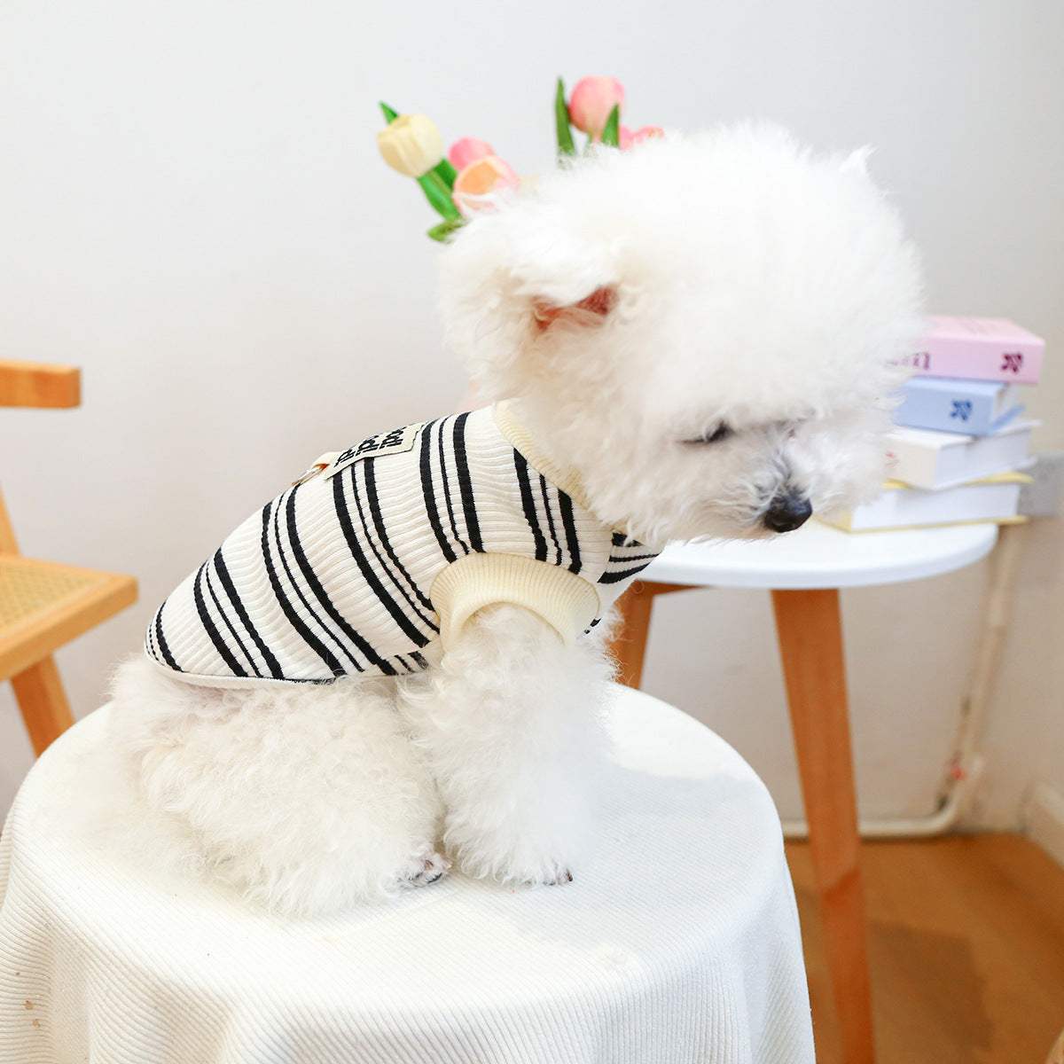 Clothing traction vest for pet dogs, adjustable design in black my store brand