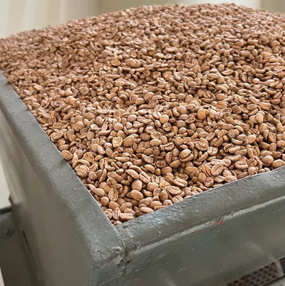 Dark roasted Decaf Colombia single origin coffee from Condor Colombia, brewed in a cup with rich, aromatic coffee beans.