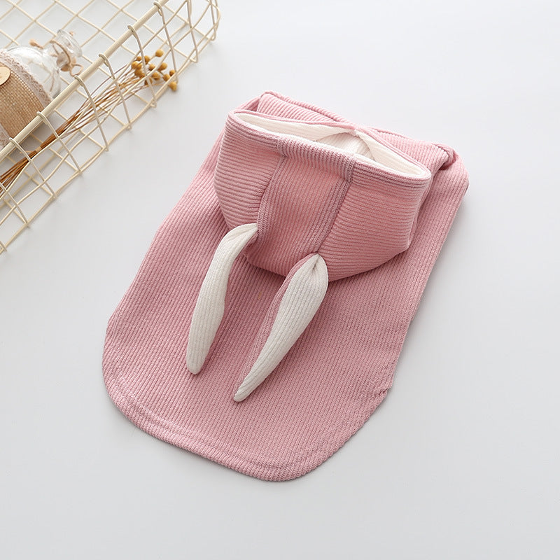 Small dog knitted sweater with rabbit ears costume in soft fabric, front view