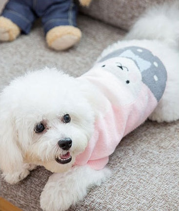 Dog clothes by My Store, showing a comfortable pet outfit for small dogs