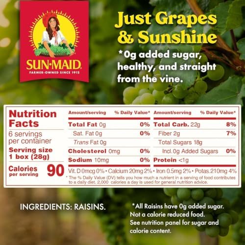 Sun-Maid raisin snack pack bundle featuring blueberry vanilla yogurt and classic California sun-dried raisins in 1 oz boxes.