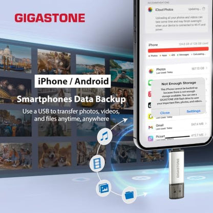 Gigastone 64GB dual USB flash drives with USB Type-C and Type-A ports, head cap design, high-speed data transfer in a 10-pack