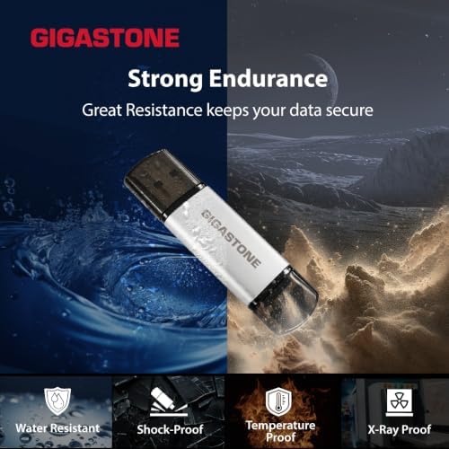 Gigastone 64GB dual USB flash drive 10-pack with USB 2.0, Type-C & Type-A, high-speed, head cap design, thumb drive for smartphones and PCs.