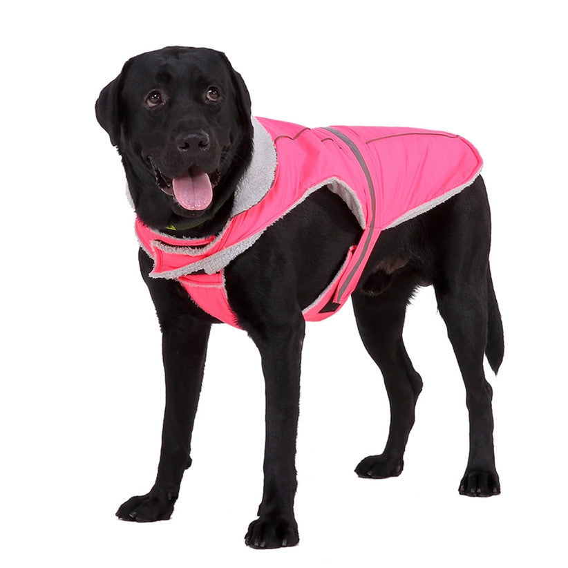 Night reflective winter pet clothes for dogs and cats, close-up view