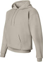 Hanes men's EcoSmart fleece hoodie with hood, front pocket, and ribbed cuffs, available in big and tall sizes.