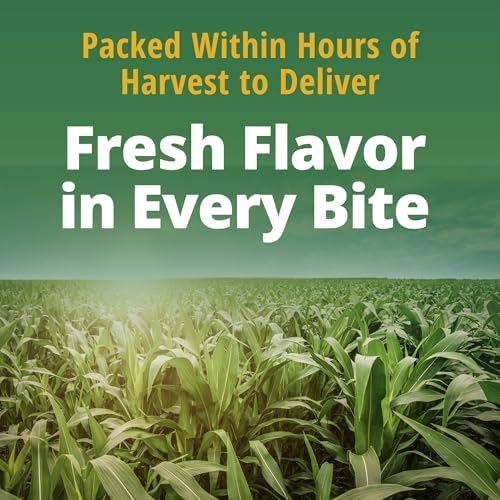 Canned Del Monte Whole Kernel Gold Corn with no salt added, 8.75-ounce pack of 12, showing golden corn kernels in a can