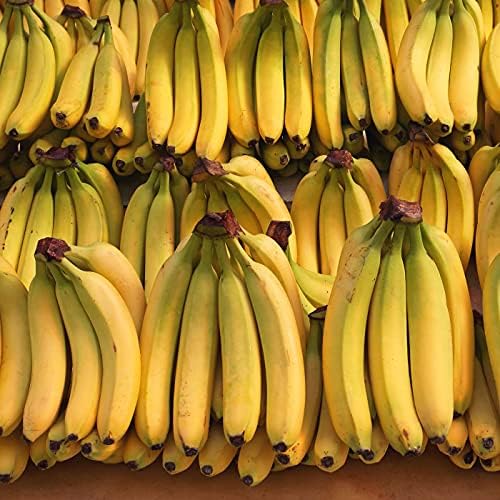Fresh ripe bananas from the wholesale produce bundle, 18.5 lbs box, showcasing bright yellow, curved bananas on a white background.