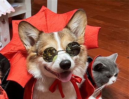 Halloween pet costume, Vampire King cape for pets