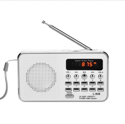 Multi-function portable card radio MP3 music player with built-in small speaker, My Store brand