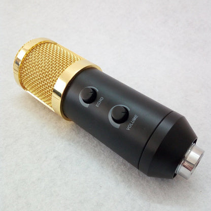 Reverb BM800 microphone with black condenser body and metal grille