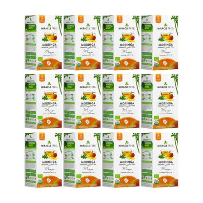 Organic Moringa Mango herbal tea by Miracle Tree in a clear glass cup with dried mango slices and fresh moringa leaves.