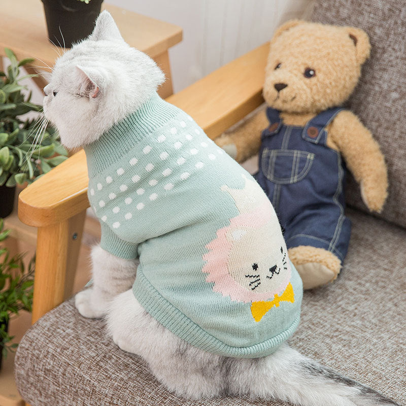 Dog clothes by My Store, showing a comfortable pet outfit for small dogs