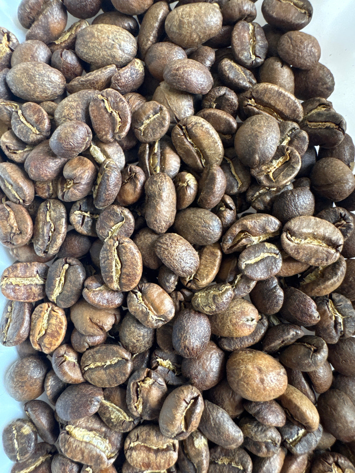 Roasted coffee bean blend with coconut cream flavor from Good Brothers Coffee LLC, showing coffee beans and coconut cream accents.