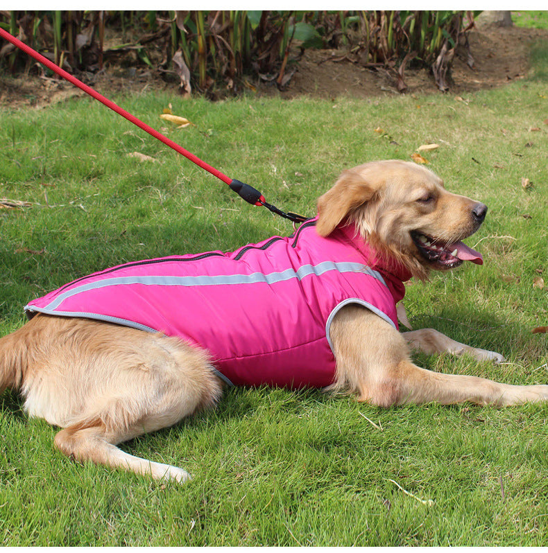 Medium and large dog winter coat, warm padded outerwear for cold weather walks