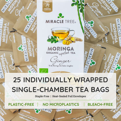 Organic Miracle Tree Moringa Ginger Herbal Tea in a teacup with fresh ginger slices, showcasing caffeine-free herbal tea.