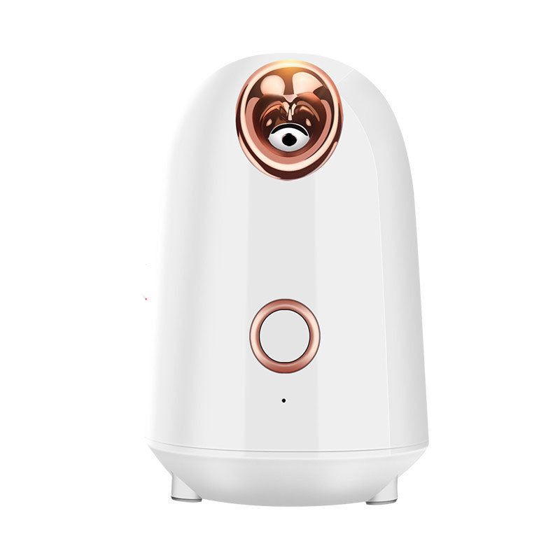 Nano thermal spray moisturizing face steamer device with compact white design and water mist nozzle