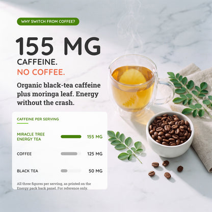 Organic Moringa Energy Tea by Miracle Tree with ginger and lemon, featuring vibrant tea leaves and fresh citrus slices.