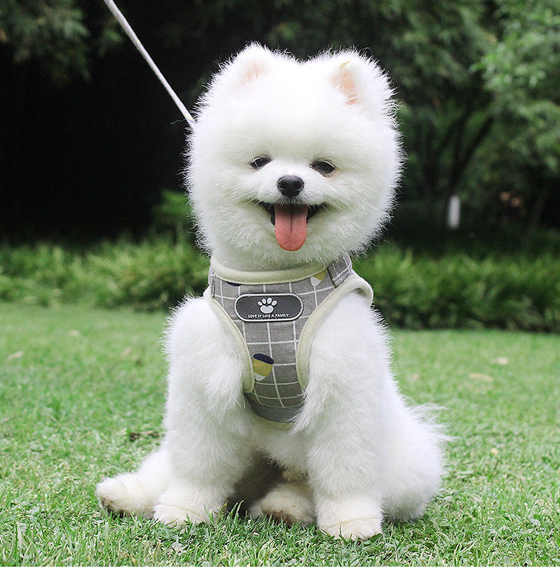 Breathable mesh small dog harness and leash by My Store in a lightweight, comfortable design