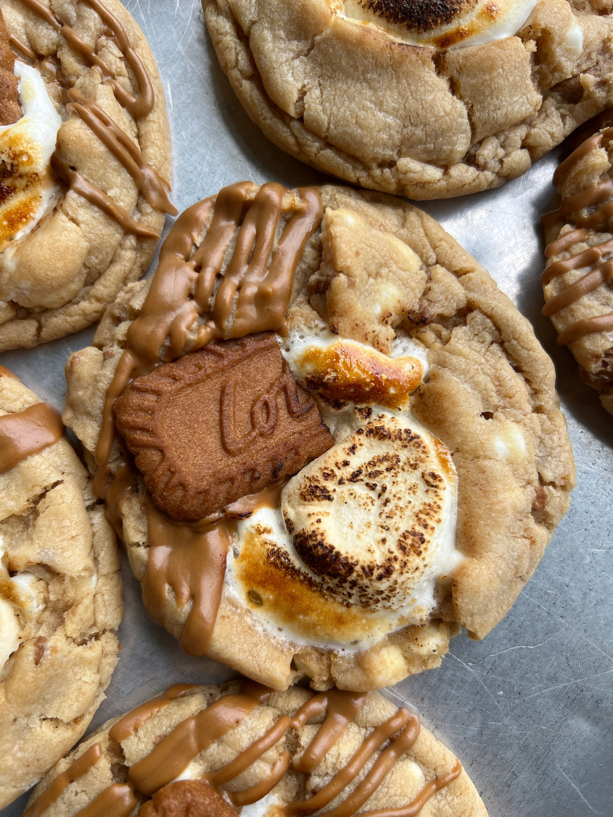 Let's Get Baked Artisan Desserts Cookie Butter S'mores cookies with graham crackers, marshmallow, and cookie butter flavor.