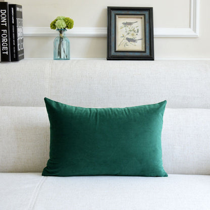 Velvet throw pillow for sofa in a soft fabric finish