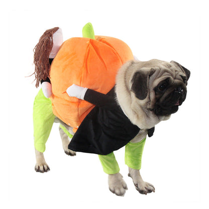 Pet clothes by My Store, colorful outfit displayed for small animals