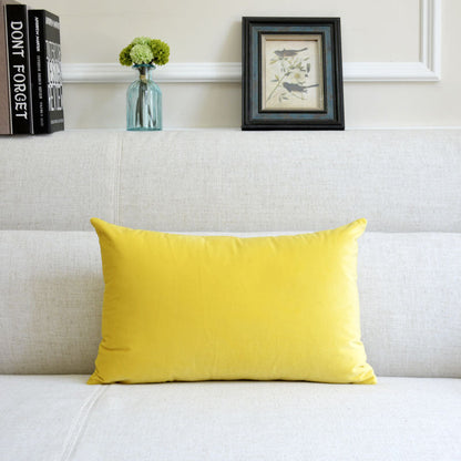 Velvet throw pillow for sofa in a soft fabric finish, decorative cushion design