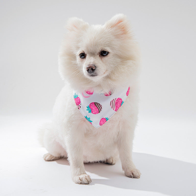 Pet cat and dog clothing accessories by My Store, designed for comfortable everyday wear
