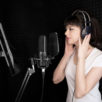 Large diaphragm condenser microphone for computer and K song karaoke recording