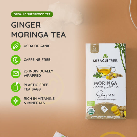 Organic Moringa Tea with ginger from Miracle Tree, caffeine-free herbal tea in a clear glass cup with fresh ginger slices.