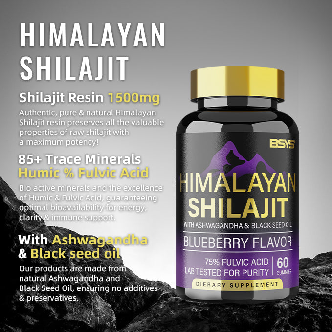 BSYS Shilajit Gummies 60 count bottle product image