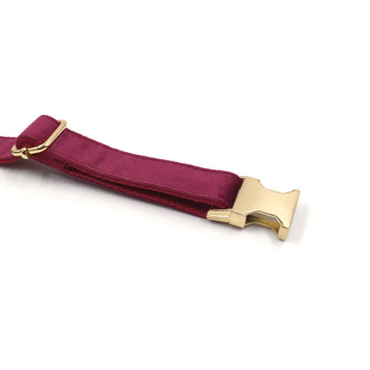 Burgundy velvet dog collar with soft fabric and adjustable buckle