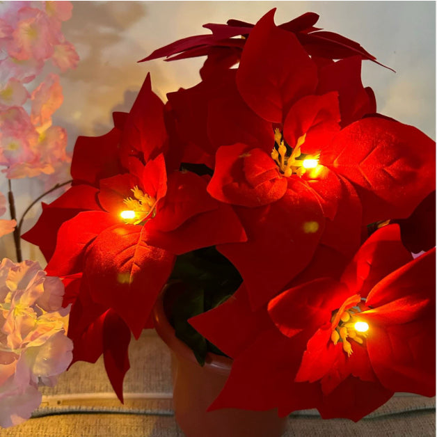 Red flower string lights decorating a door frame and escalator rails