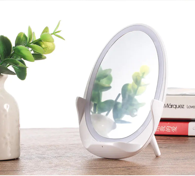 Portable Stand Mirror with Light and Wireless Charger